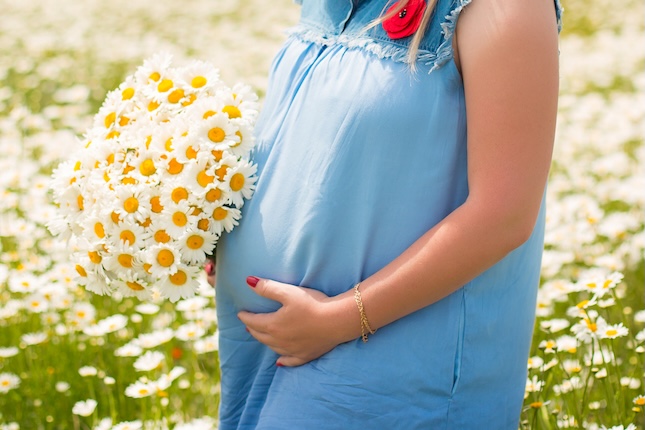 female-hands-holding-chamomile-flowers